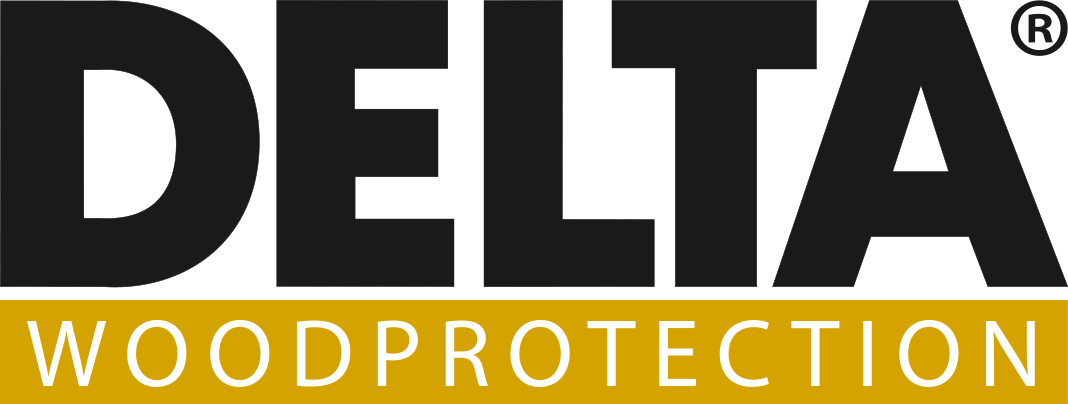 Delta logo
